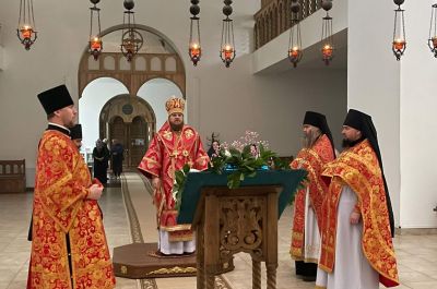 Подробнее...